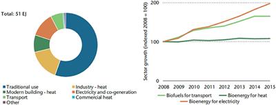 Biofuel Powering of Internal Combustion Engines: Production Routes, Effect on Performance and CFD Modeling of Combustion